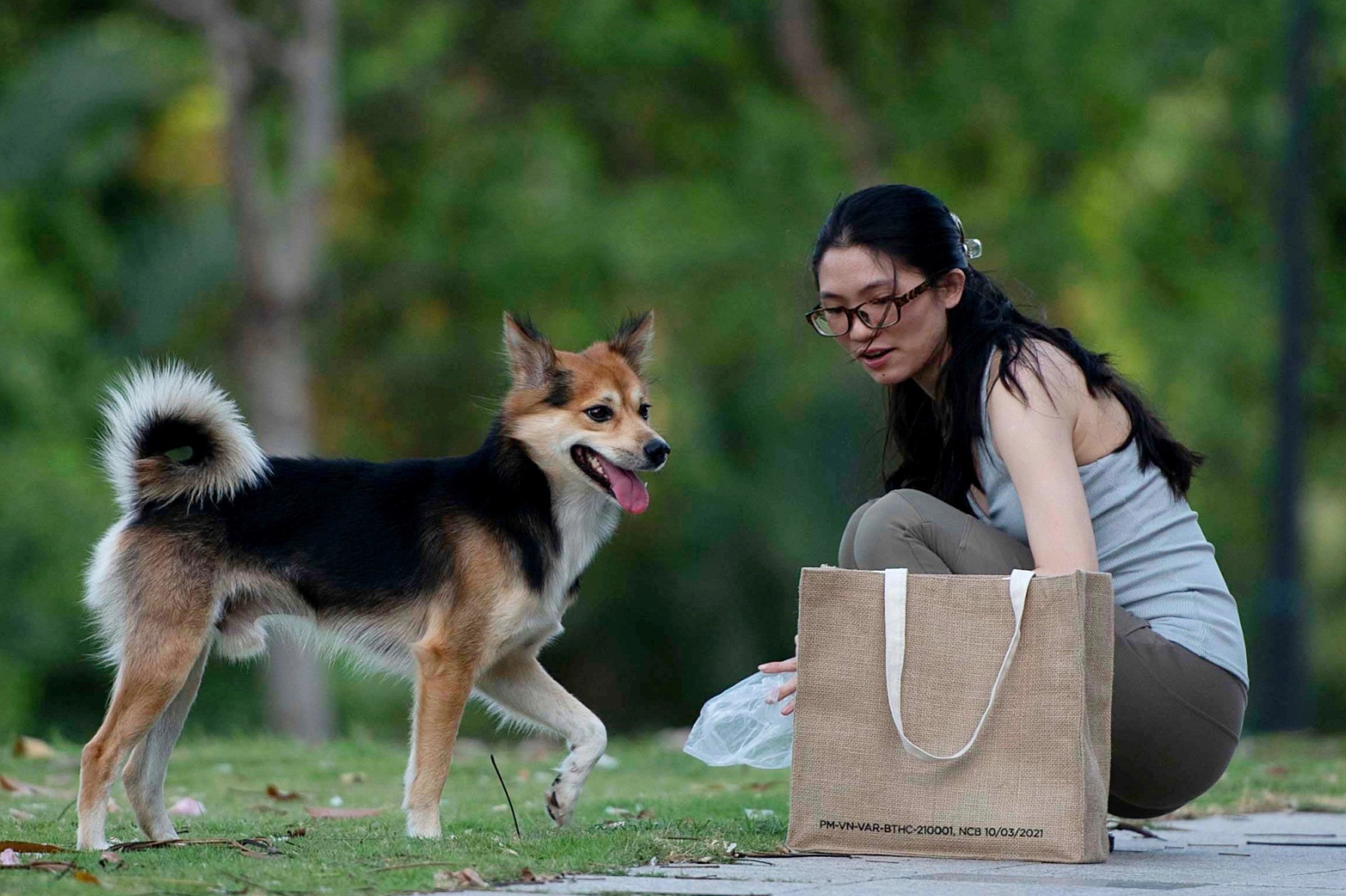 Lien tuc chuyen nha vi nuoi cho o TP.HCM hinh anh