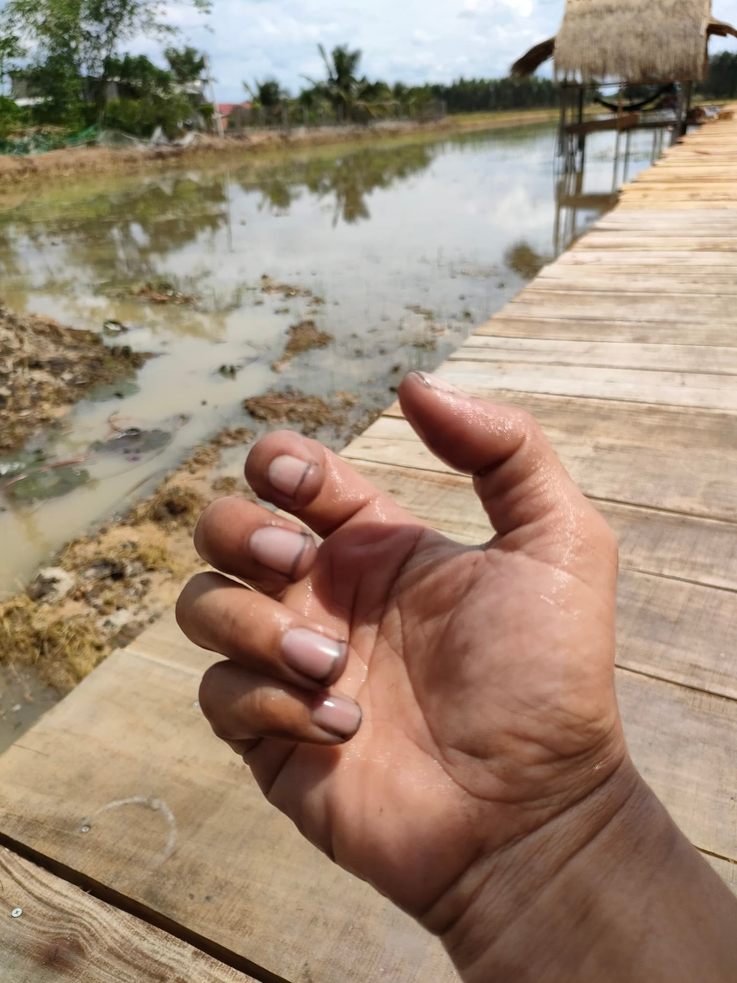 vợ chồng bỏ phố về quê ảnh 2 vo chong bo pho ve que anh 2