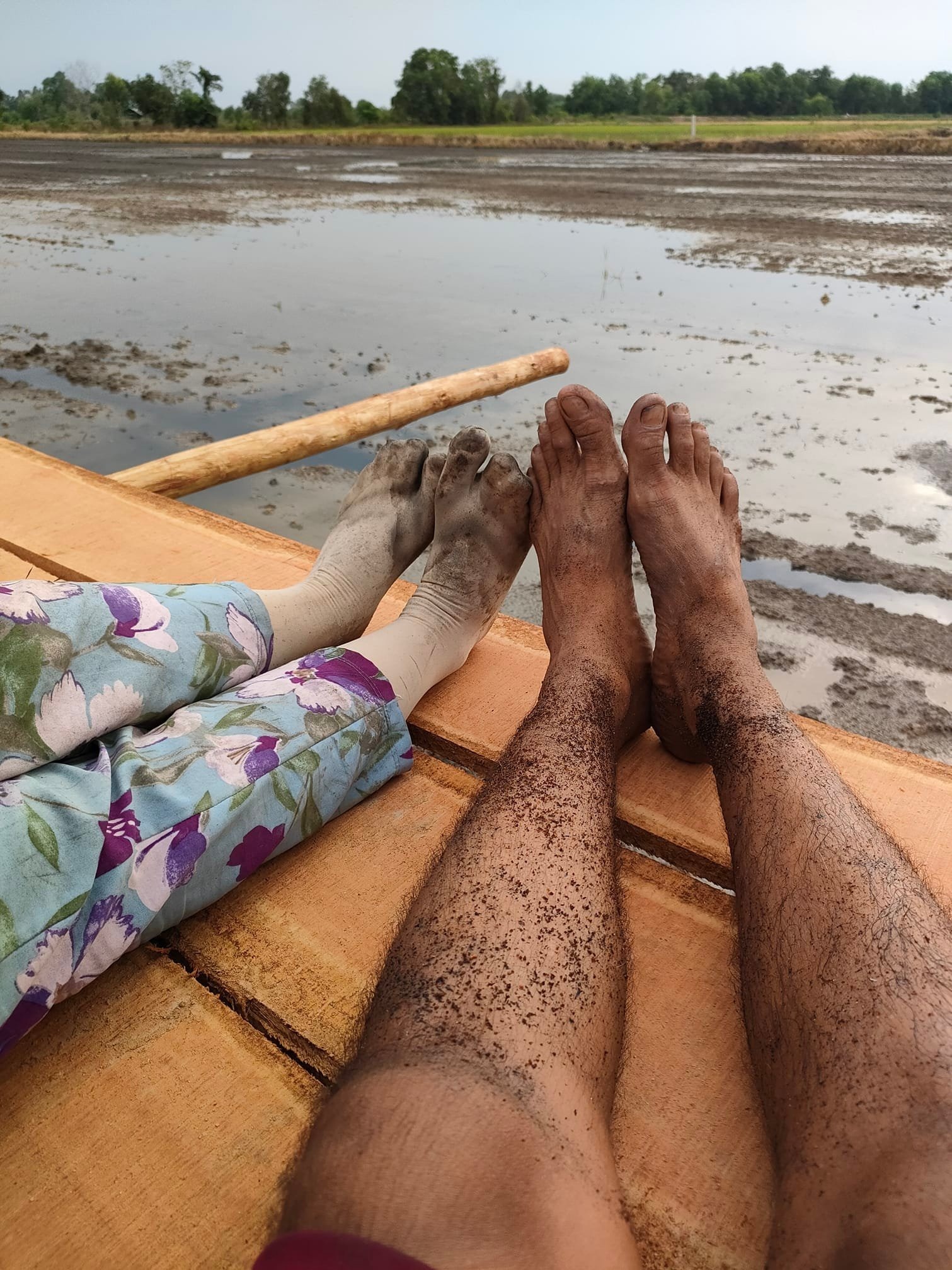 vợ chồng bỏ phố về quê ảnh 3 vo chong bo pho ve que anh 3