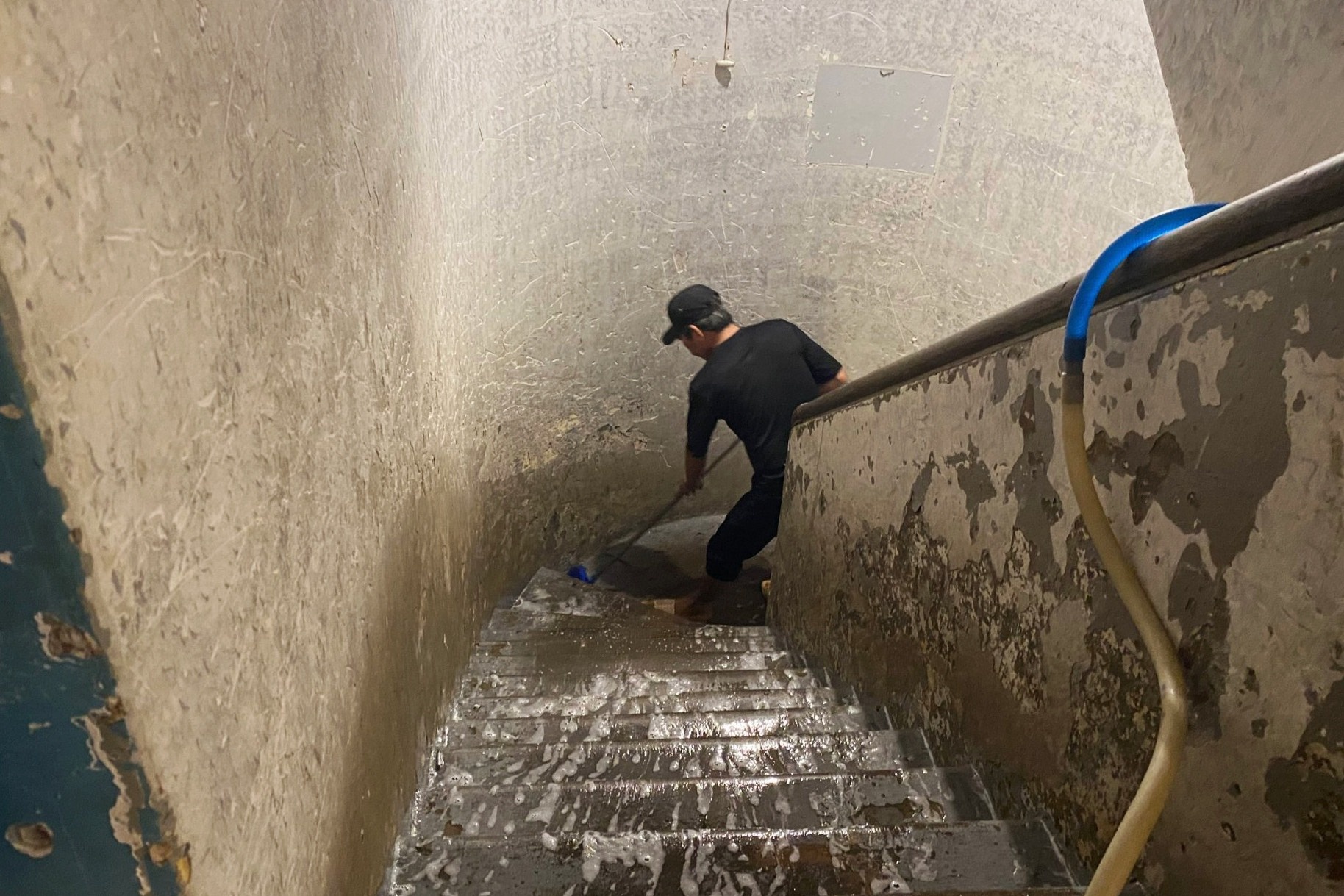 20 con meo bi danh ba anh 3