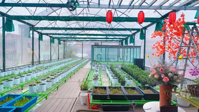 Vườn sân thượng ảnh 1 Vuon san thuong anh 1