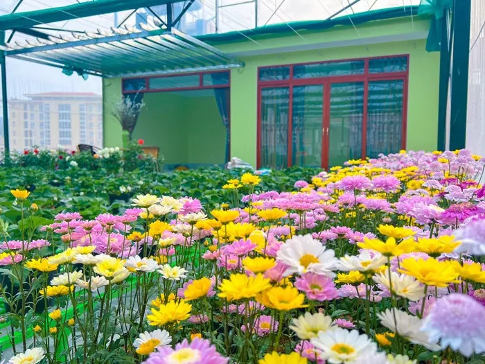Vườn sân thượng ảnh 6 Vuon san thuong anh 6