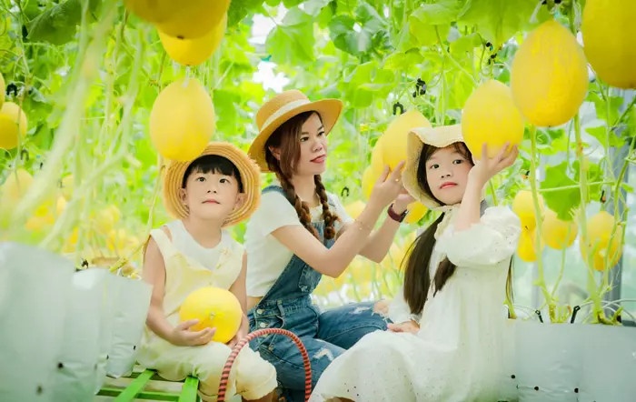 Vườn sân thượng ảnh 8 Vuon san thuong anh 8