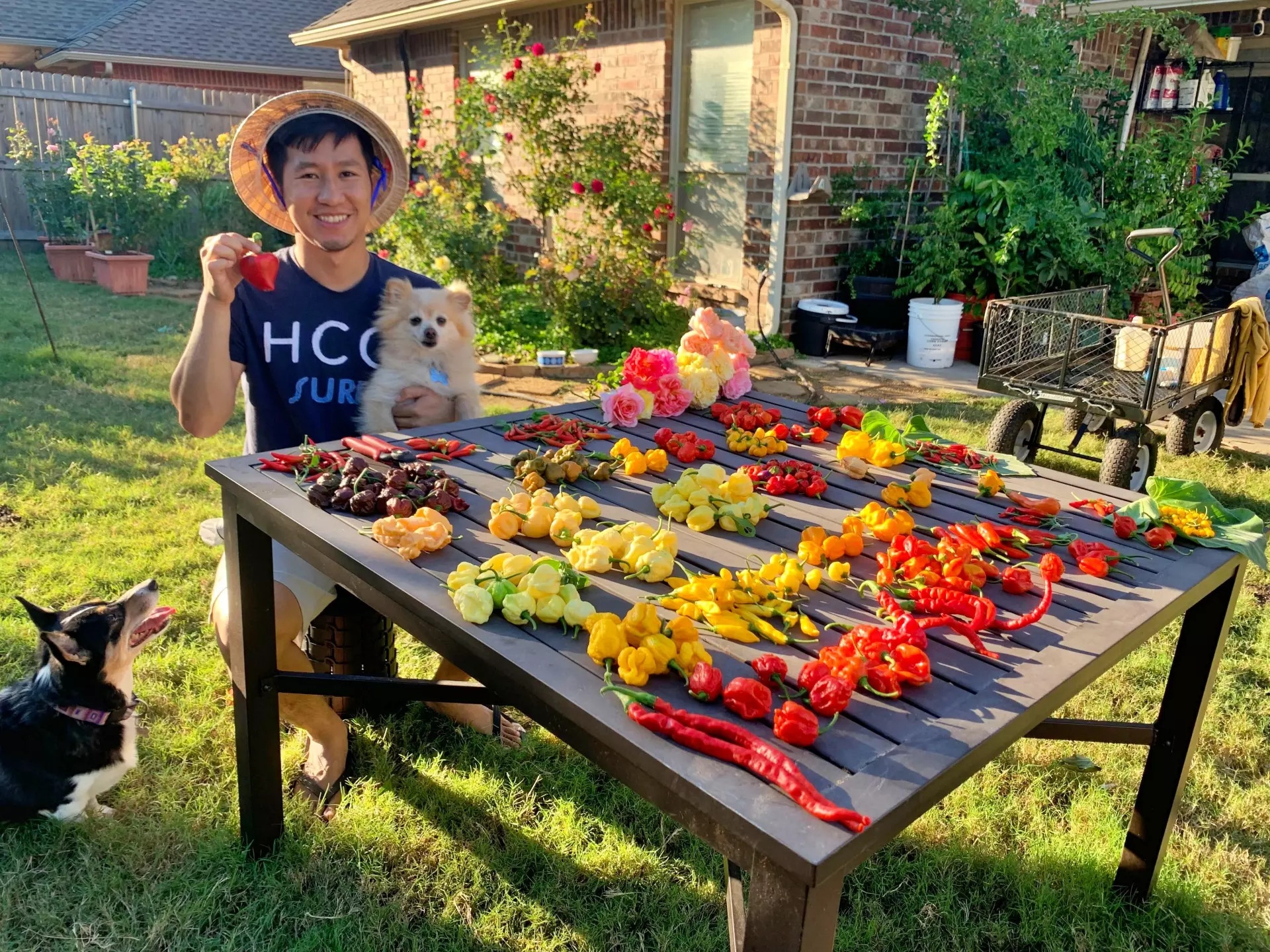 Nguoi Viet o My anh 1