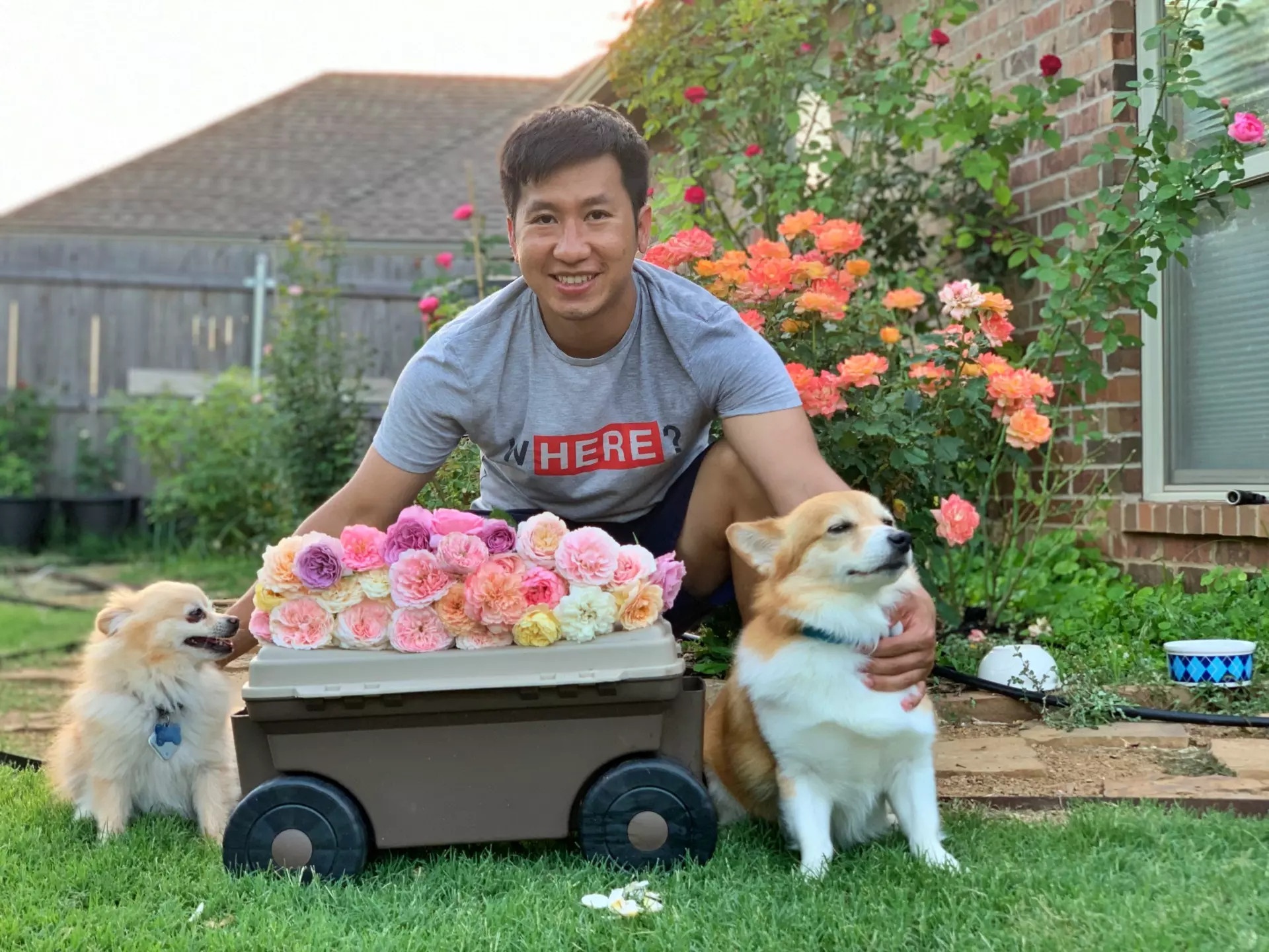 Nguoi Viet o My anh 3