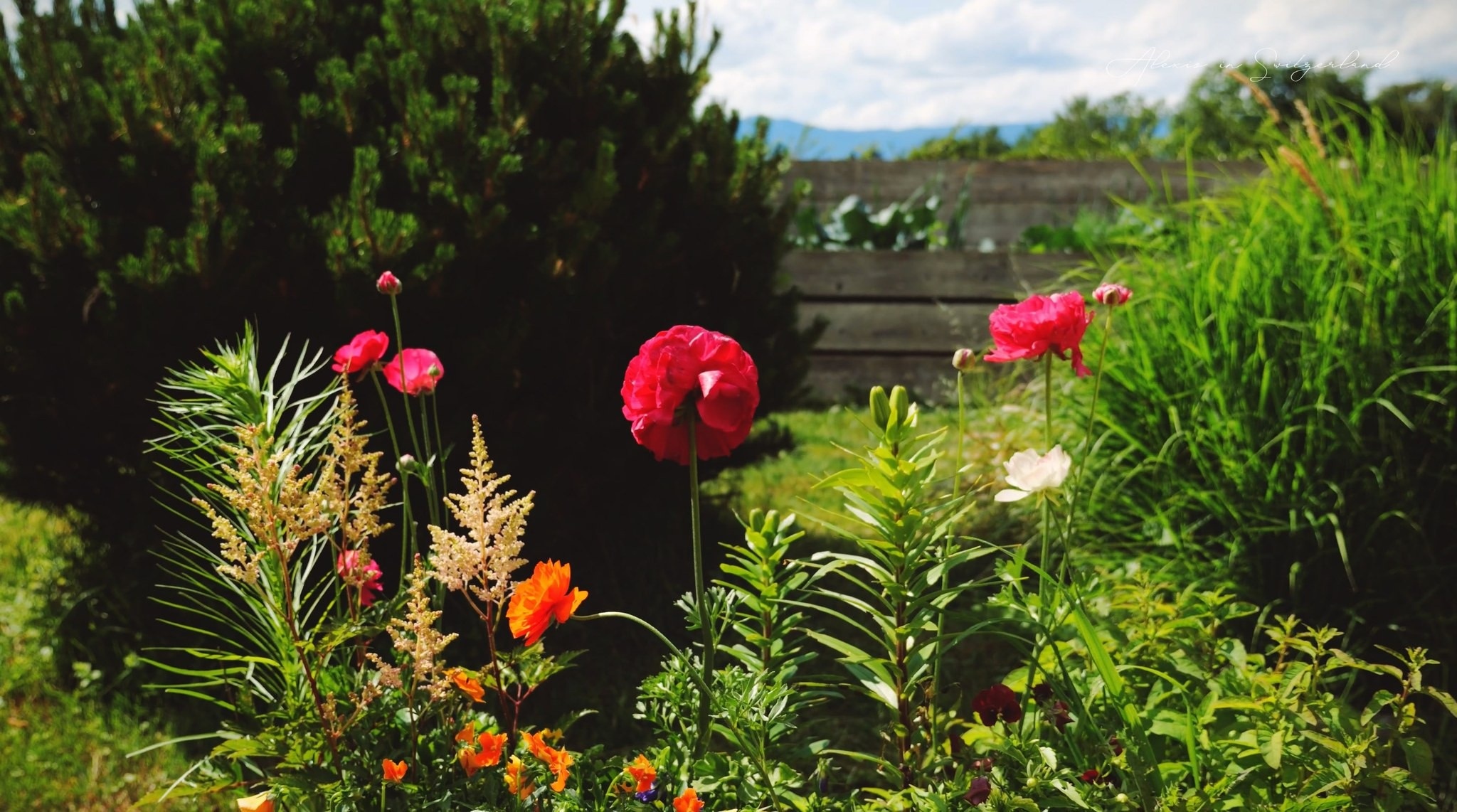 cuoc song gia dinh Viet anh 6