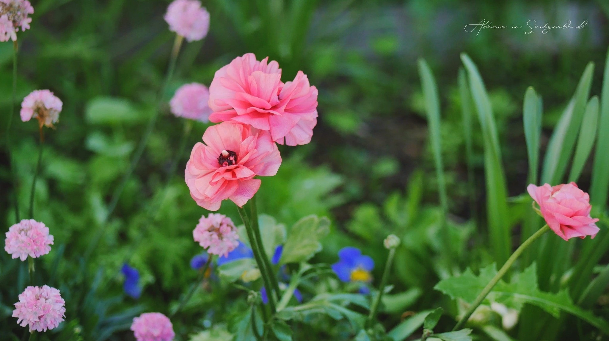 cuoc song gia dinh Viet anh 4