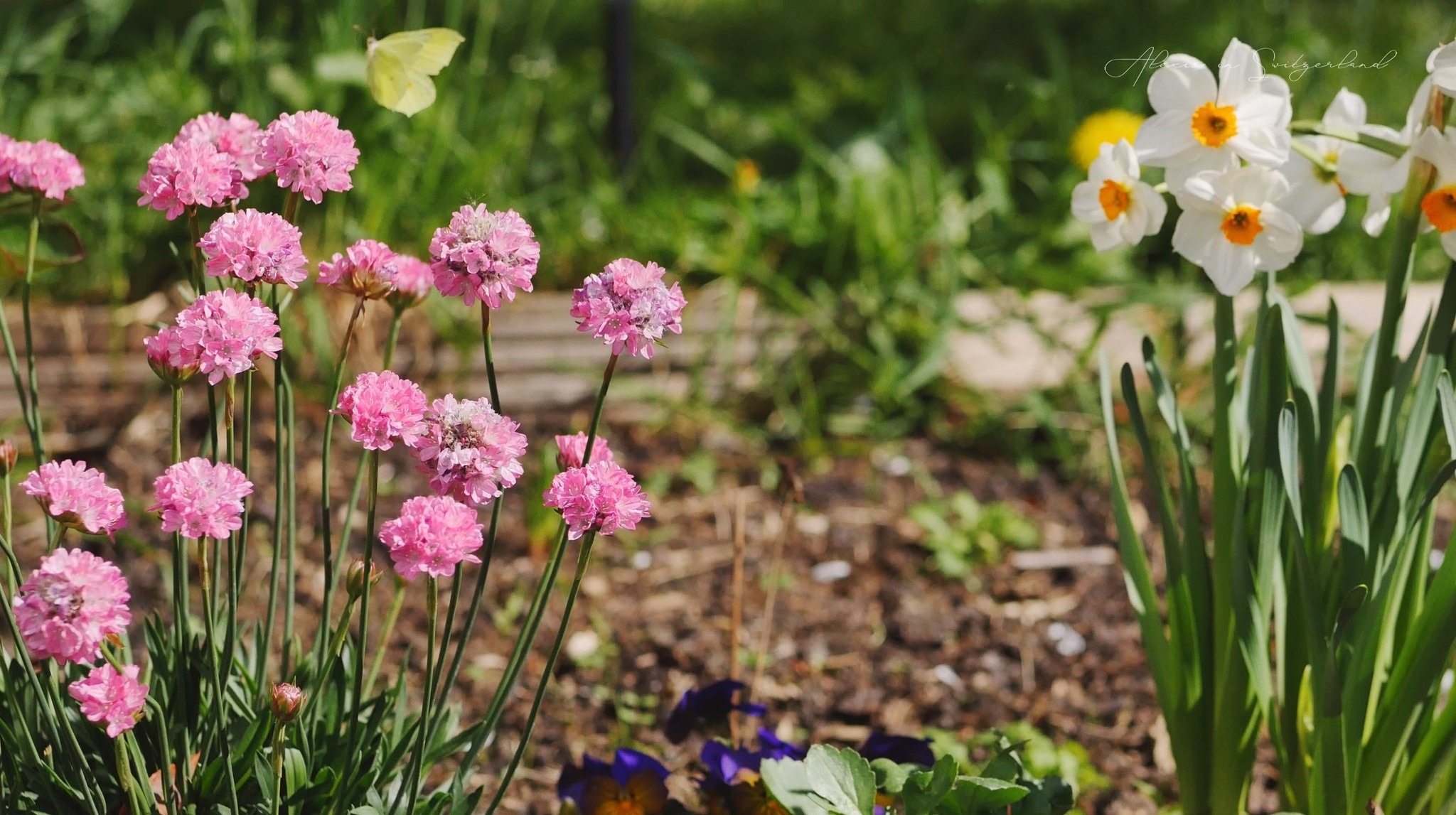 cuoc song gia dinh Viet anh 3