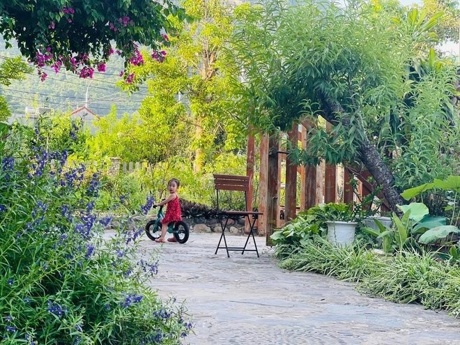 vuon rau hang tram m2 anh 1