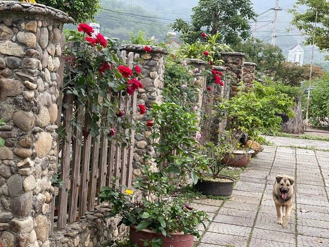 vuon rau hang tram m2 anh 5