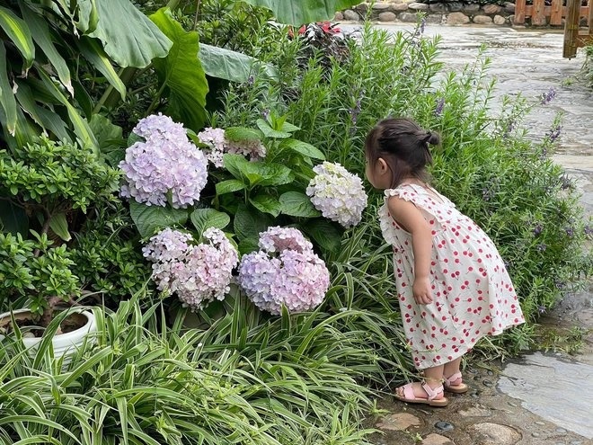 vuon rau hang tram m2 anh 3