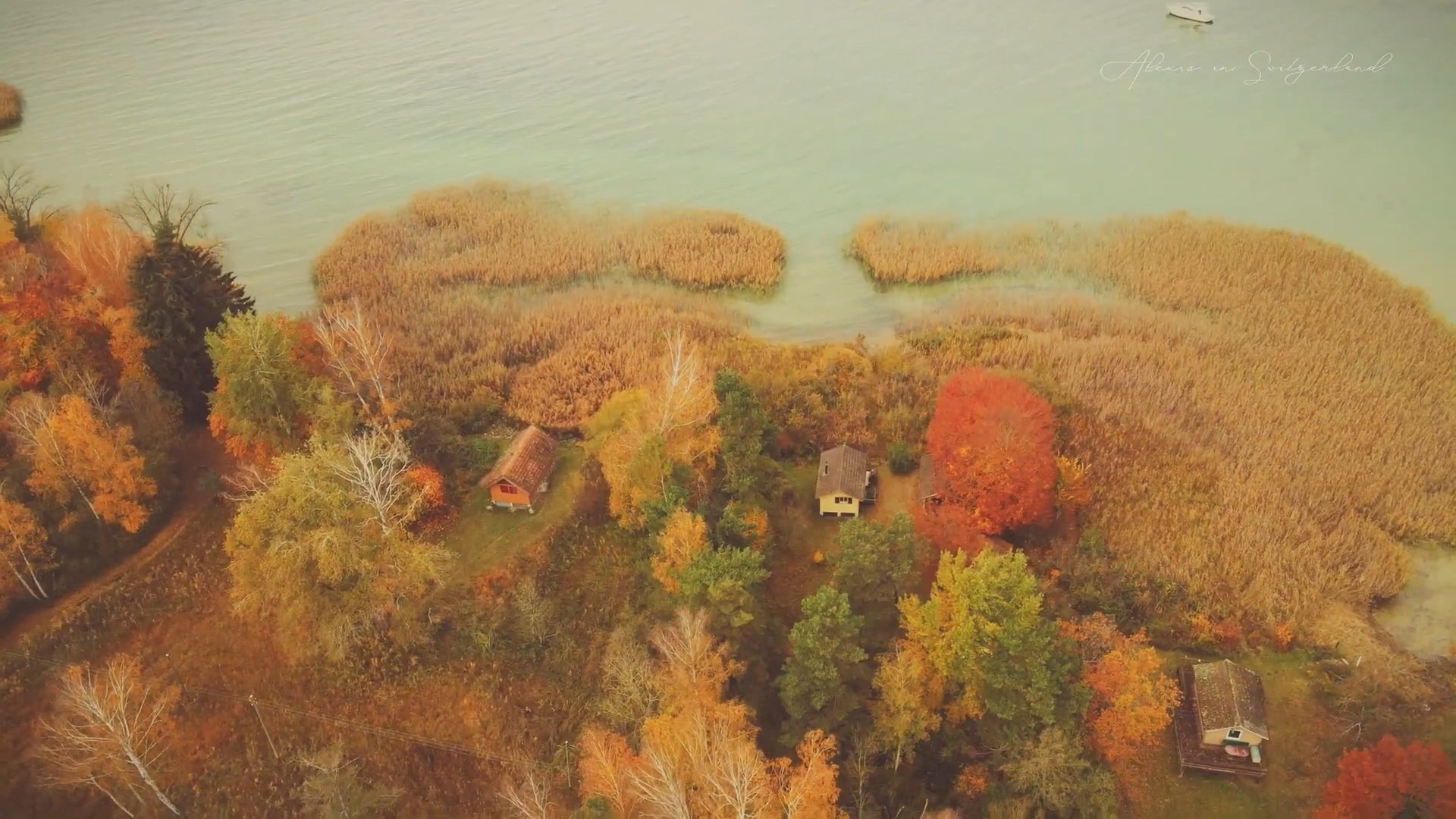 cuoc song gia dinh Viet anh 2