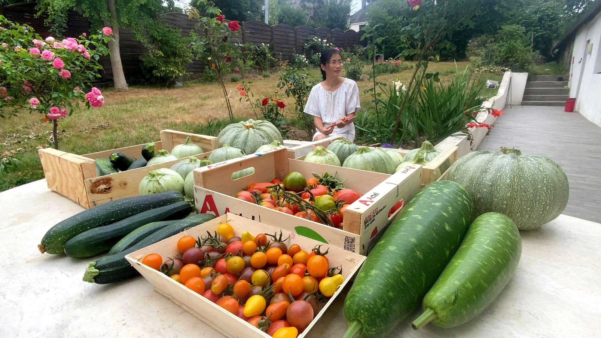 Khu vuon 2.500 m2 trong toan loai cay trai khong lo cua me Viet o Phap hinh anh