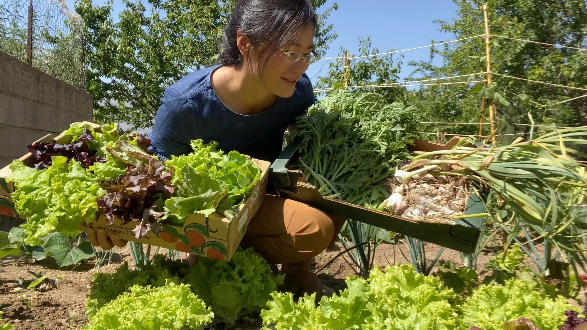 nha vuon kieu Phap anh 4