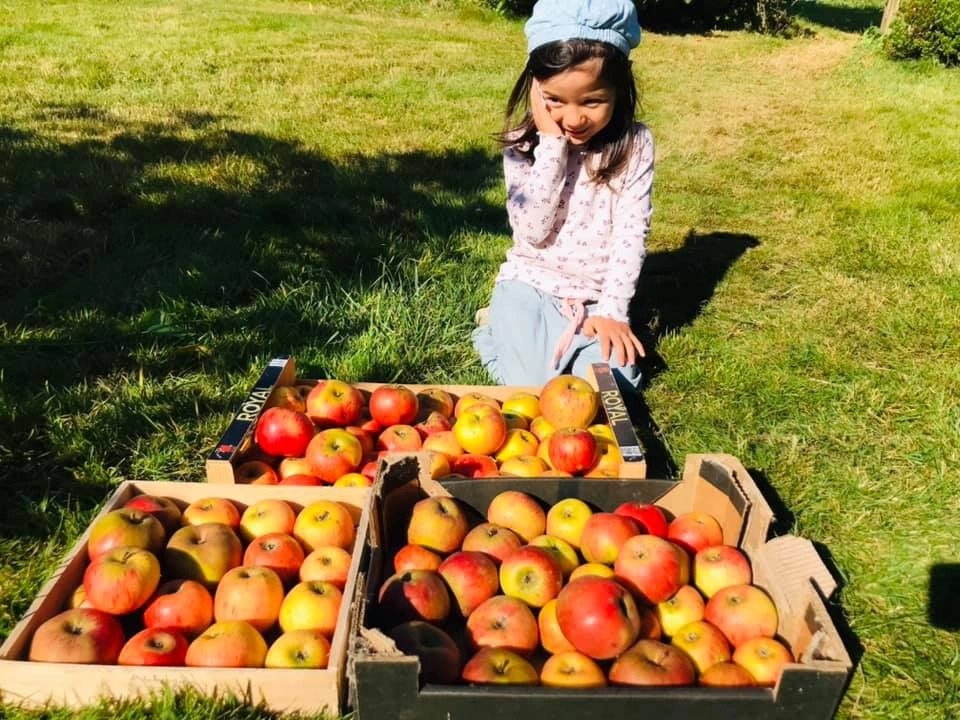 nha vuon kieu Phap anh 5