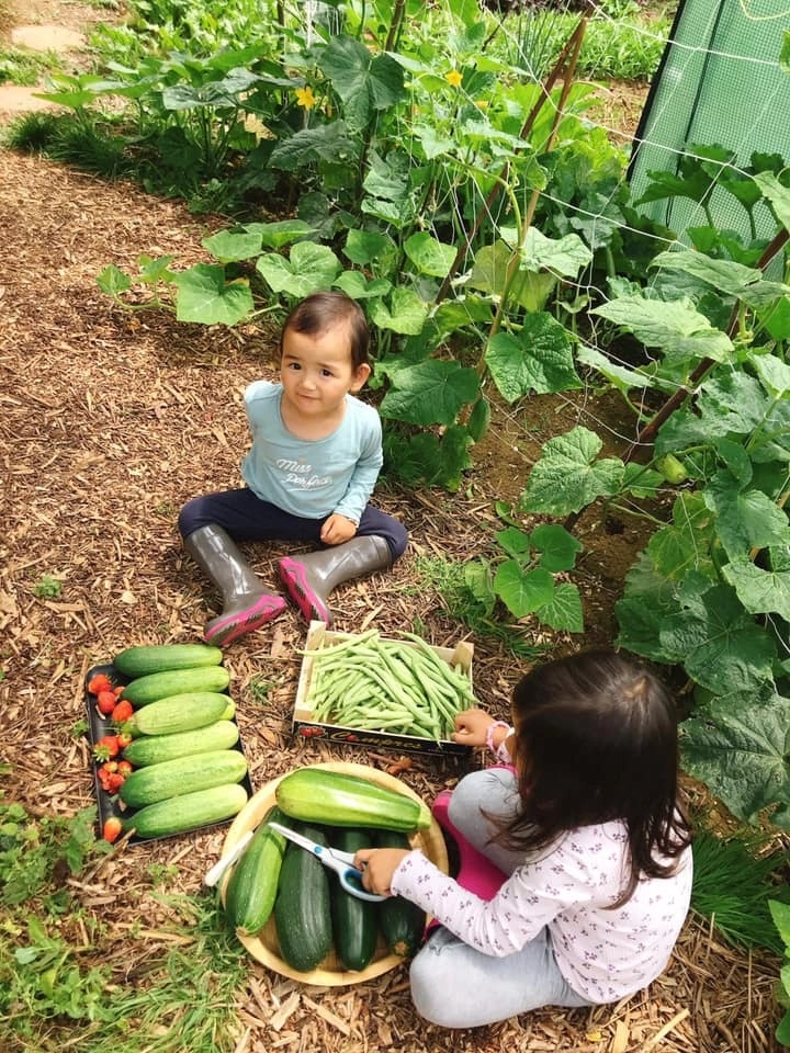 nha vuon kieu Phap anh 6