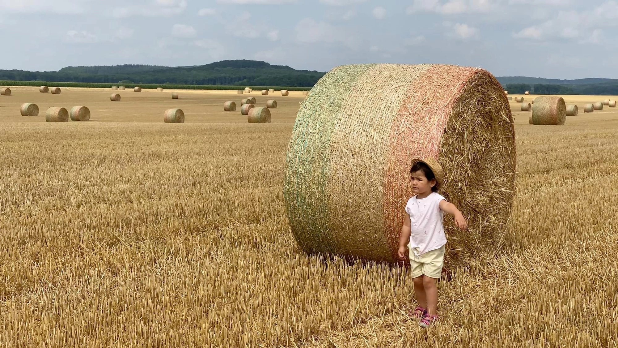 nha vuon kieu Phap anh 2