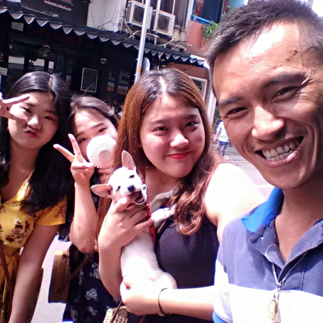 nuoi cho meo bo hoang anh 2