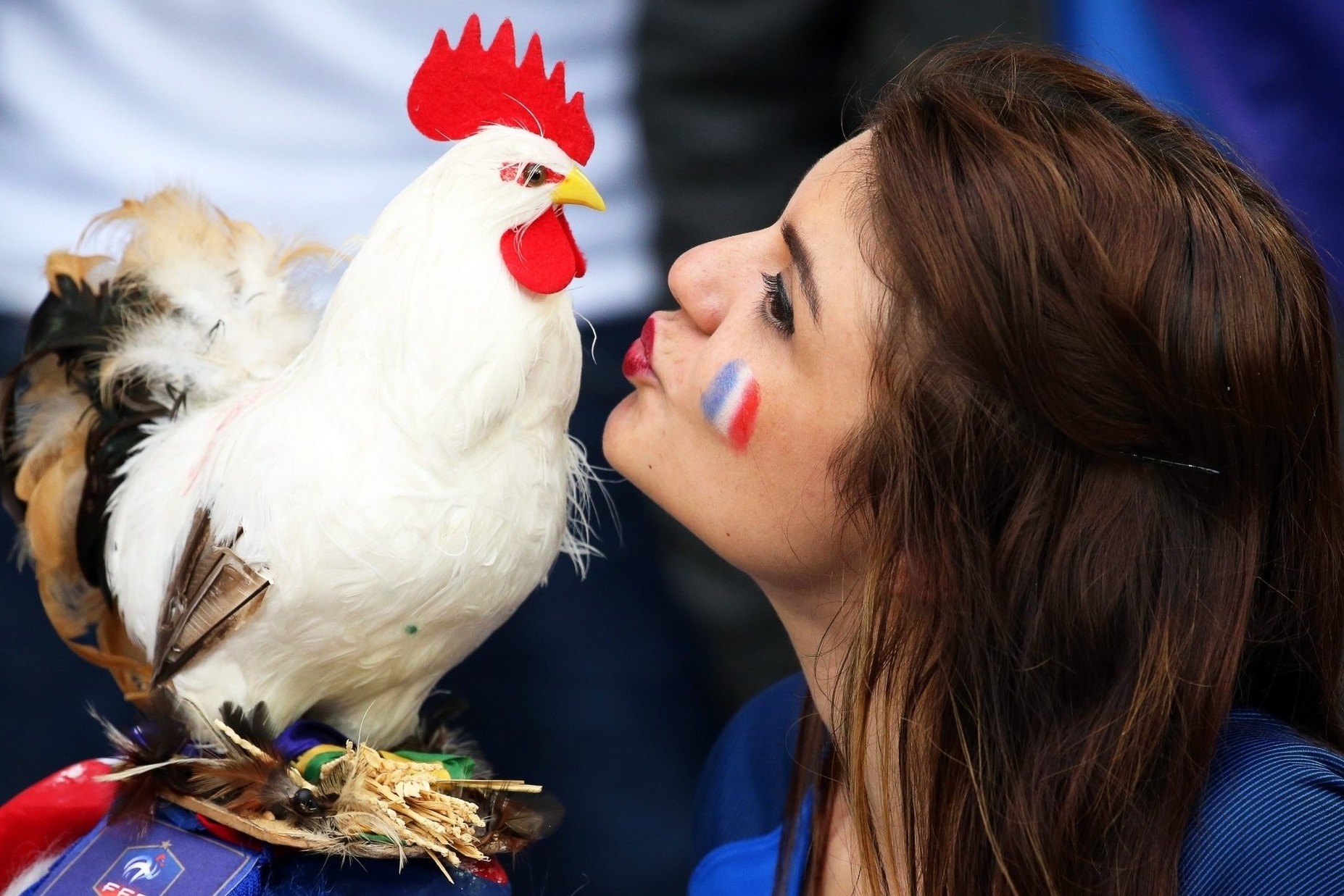 Vi sao ga trong la bieu tuong cua doi tuyen Phap hinh anh