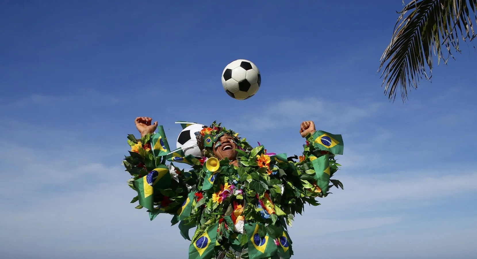 doi tuyen brazil anh 1