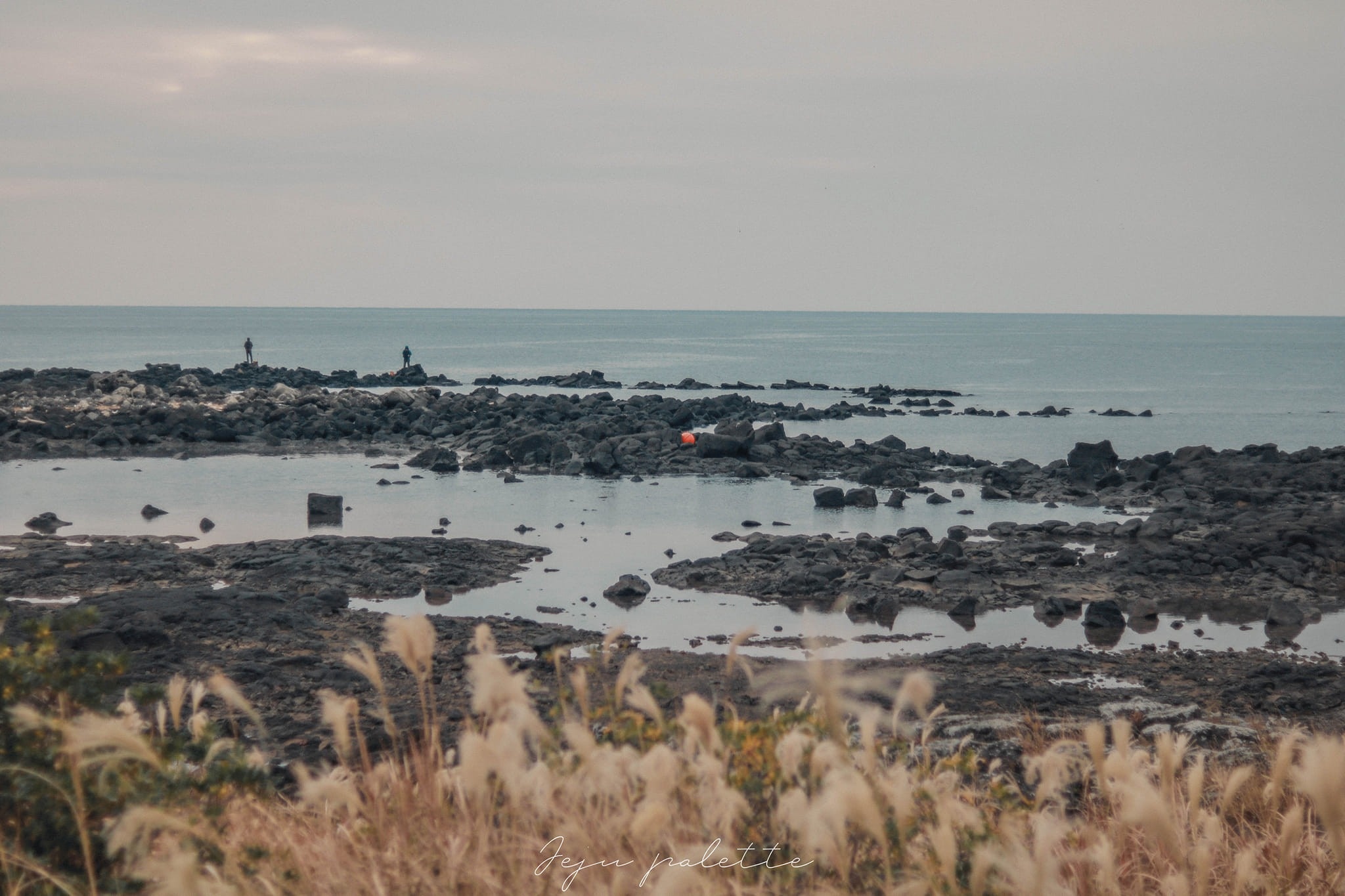 Nguoi Viet o Han Quoc anh 4