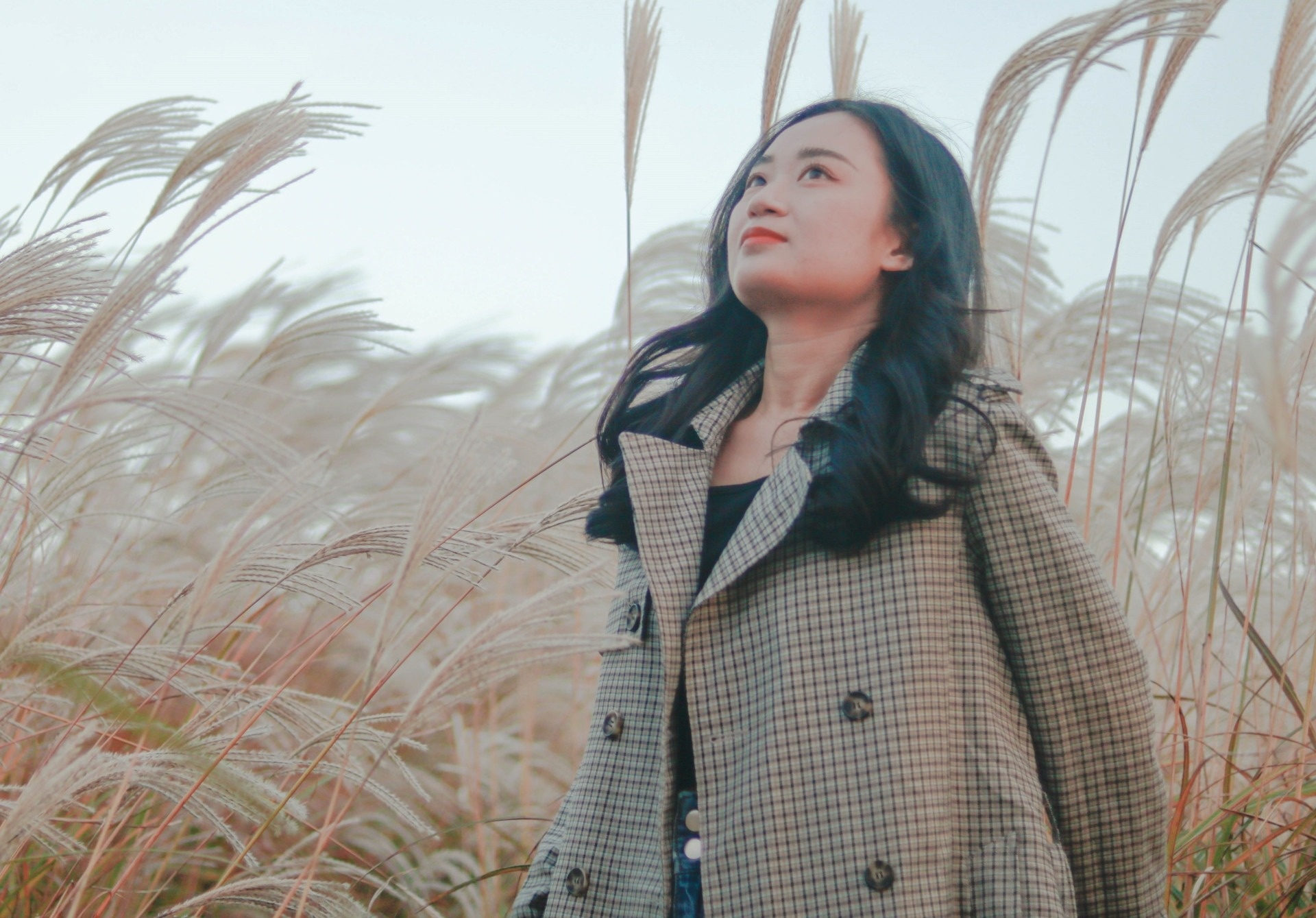 Cuoc song cua co giao nguoi Viet tren dao Jeju hinh anh