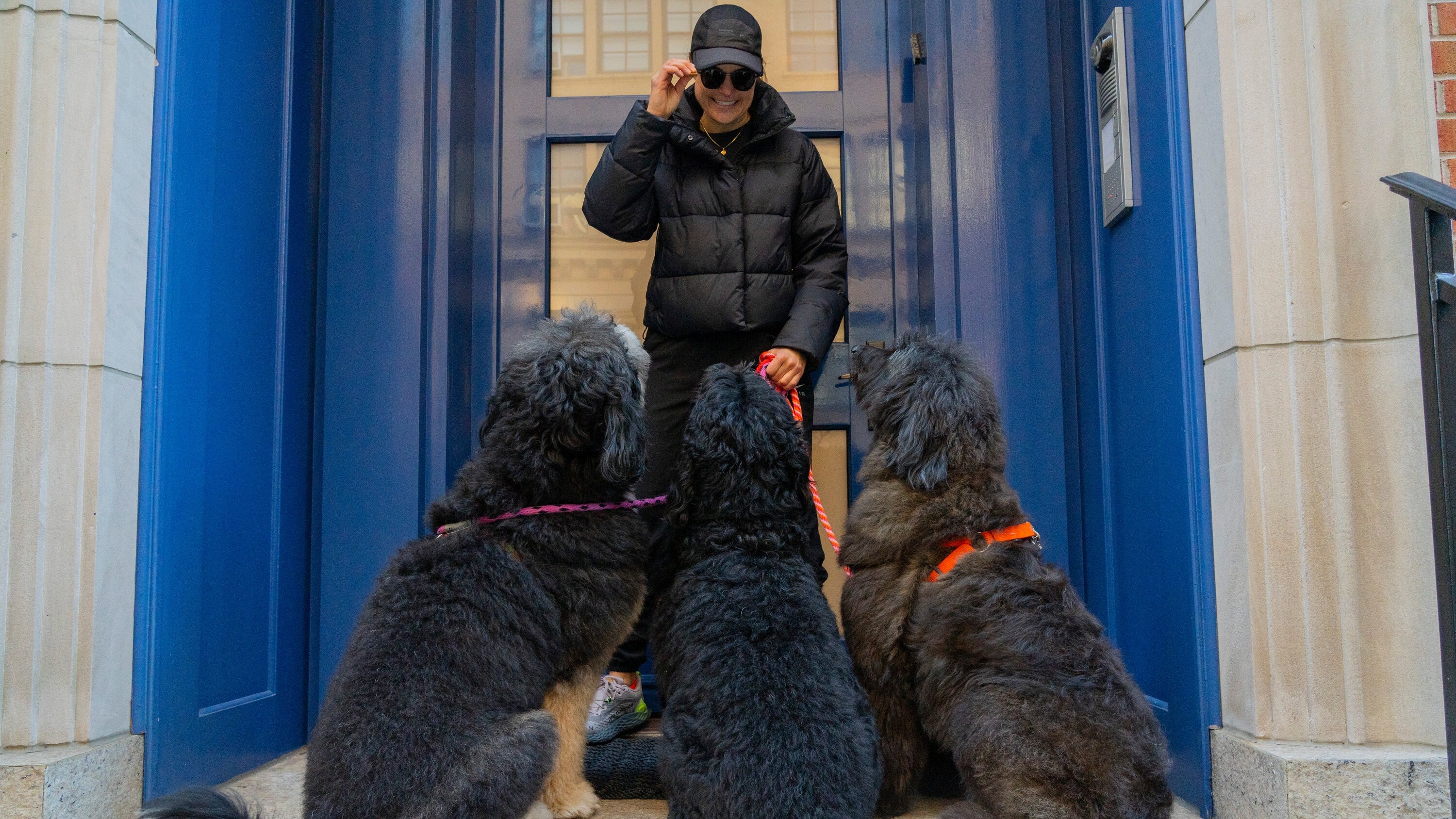 dat cho di dao anh 2