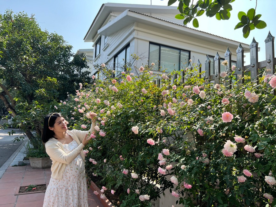 Ngoi nha hoa hong khien nhieu nguoi me man hinh anh