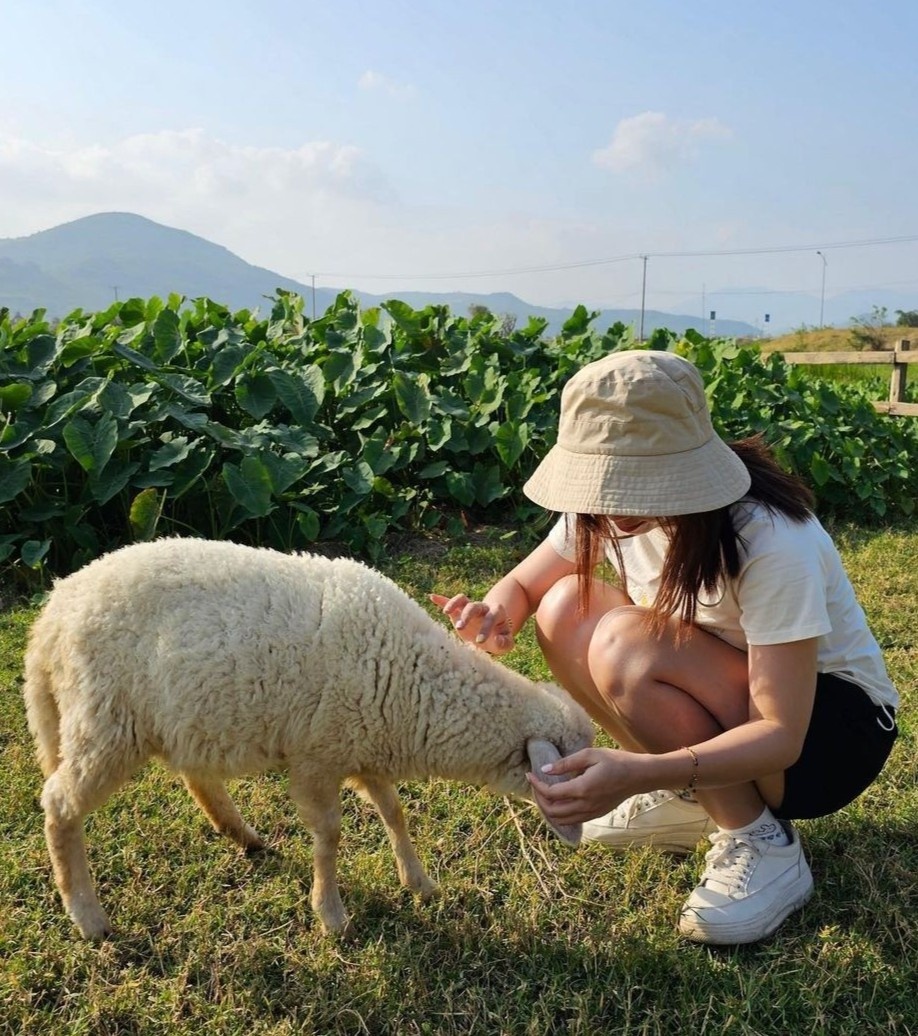 tranh nong tphcm anh 4