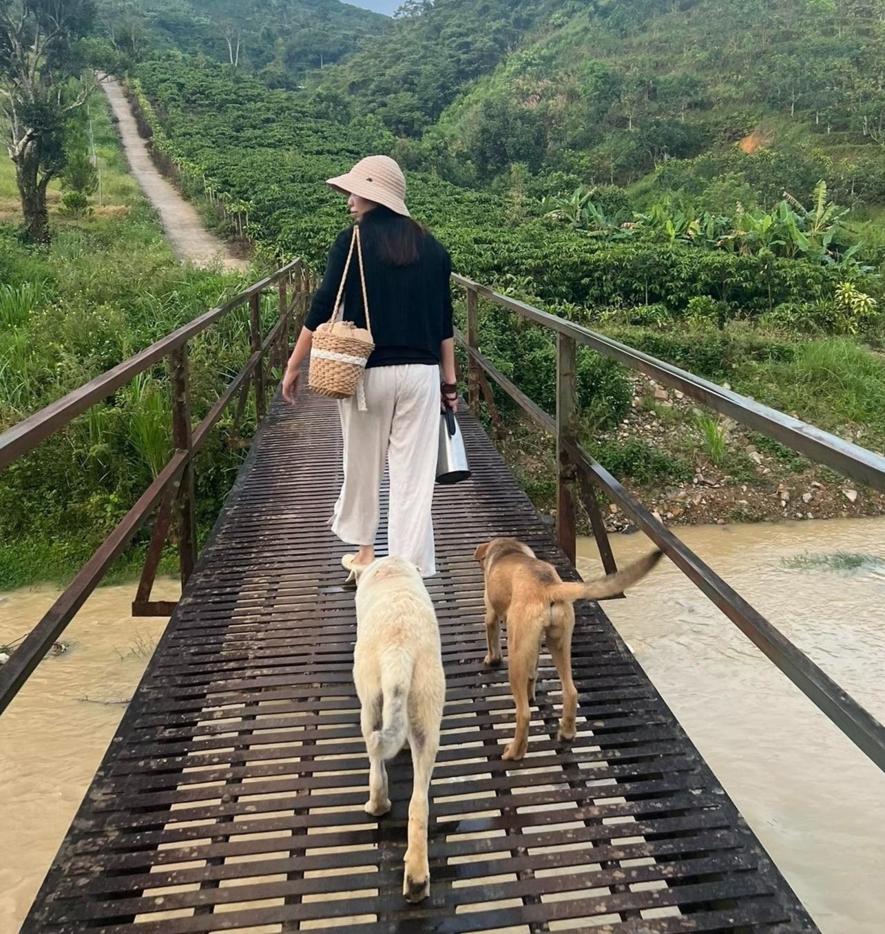 tranh nong tphcm anh 2