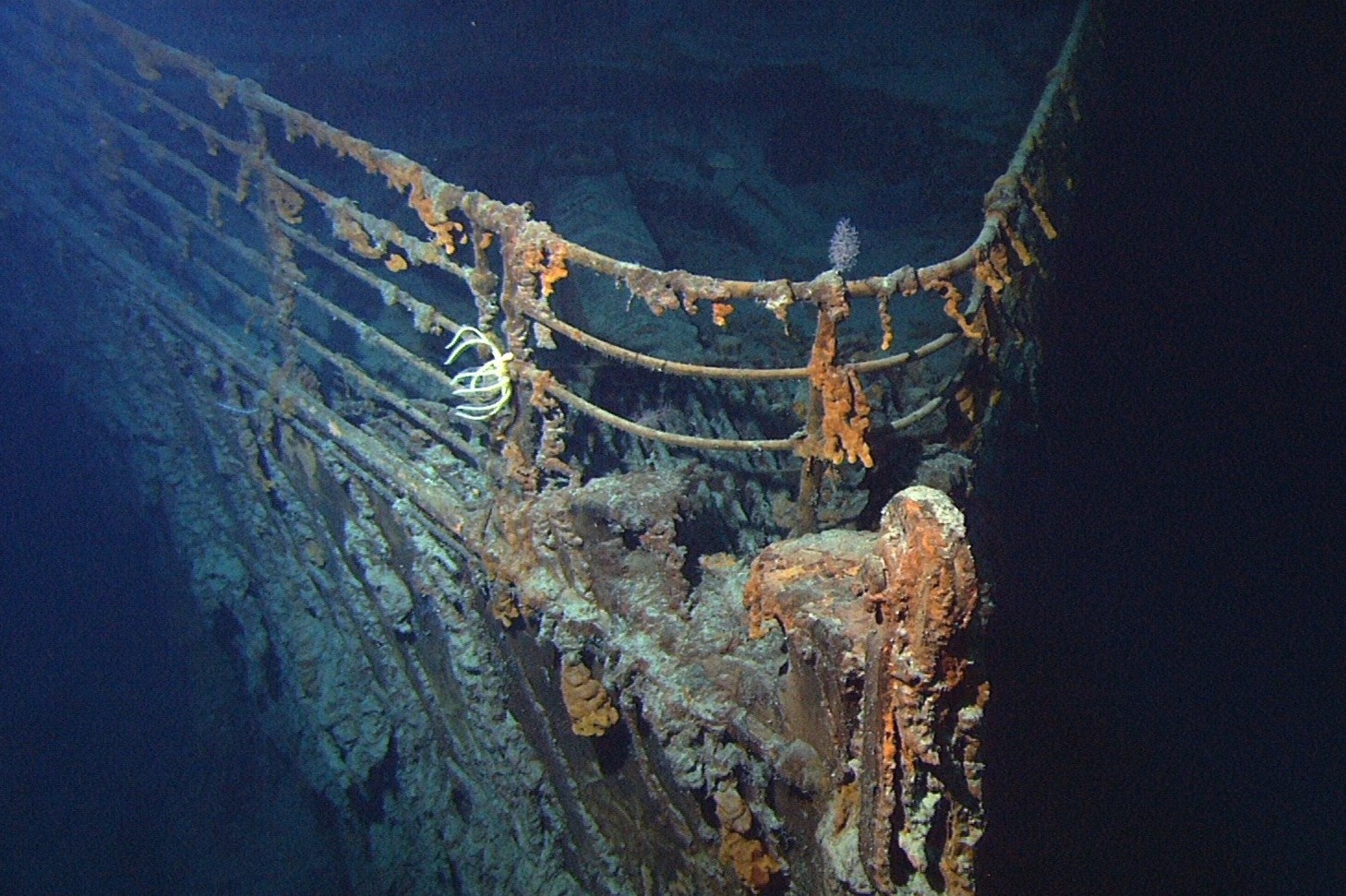 Thu vui tham hiem xac tau Titanic, bay len vu tru nguy hiem ra sao hinh anh