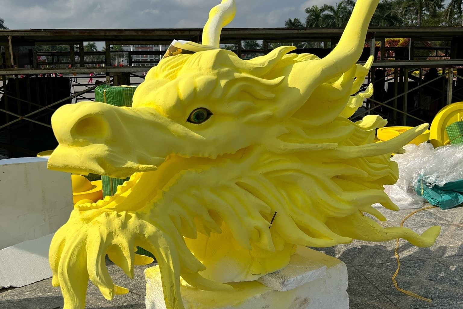 Rong Quang Nam chua gan xong phu kien, da nhan 'mua loi khen' hinh anh