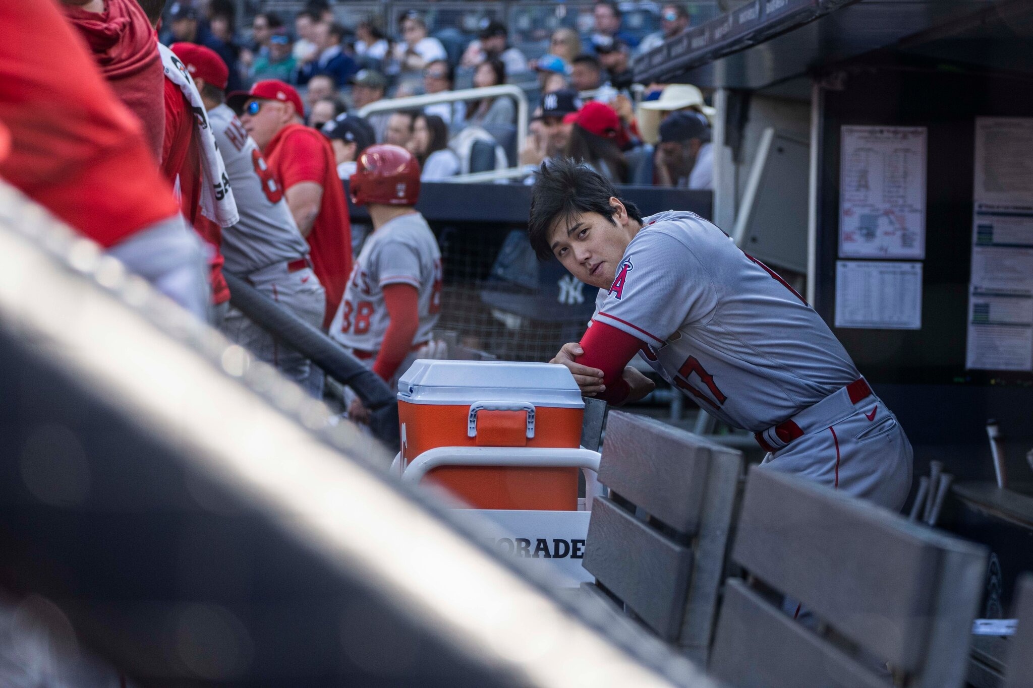 vo shohei ohtani anh 2