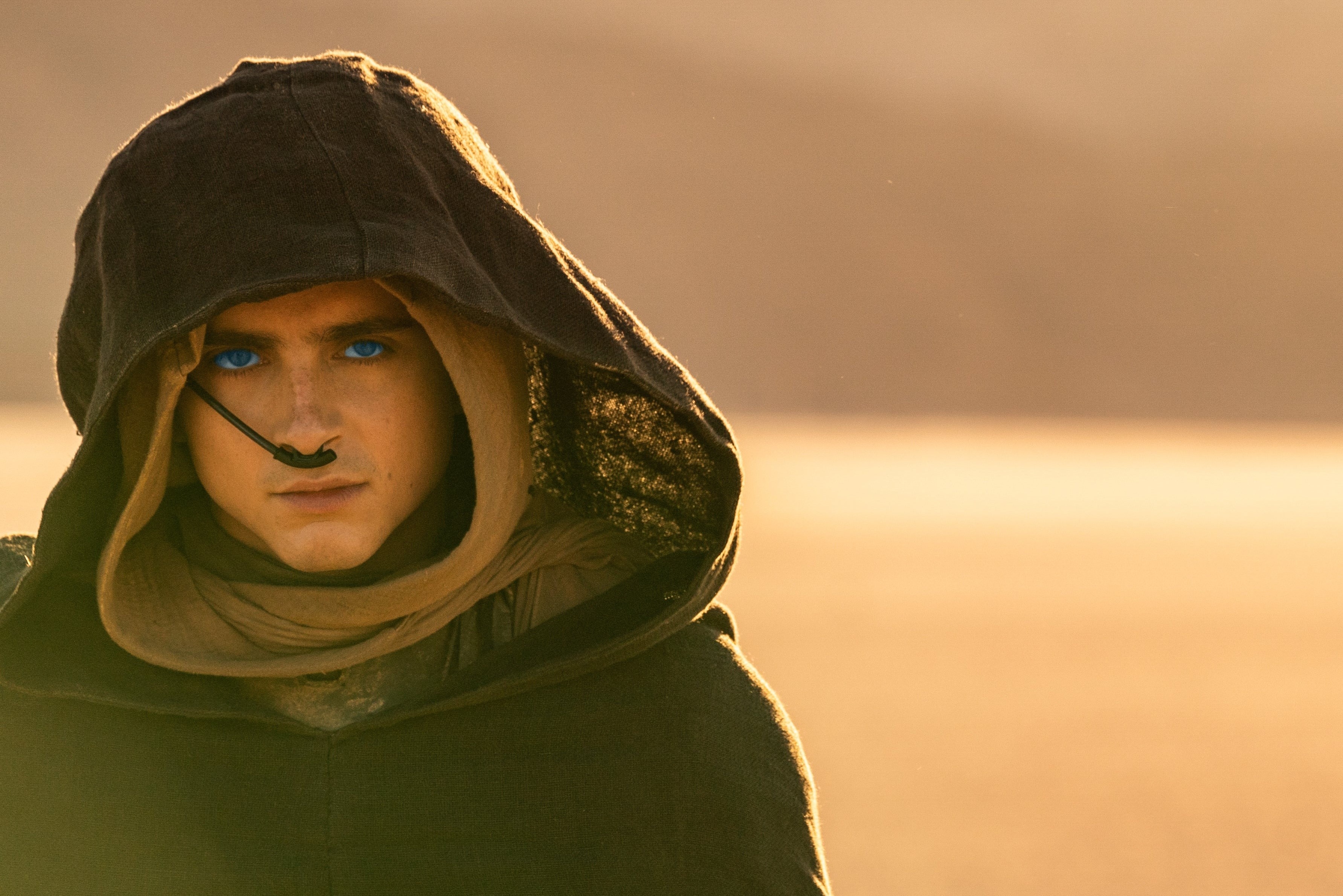 Hanh tinh cat cua bom tan 'Dune' hoan toan co that hinh anh