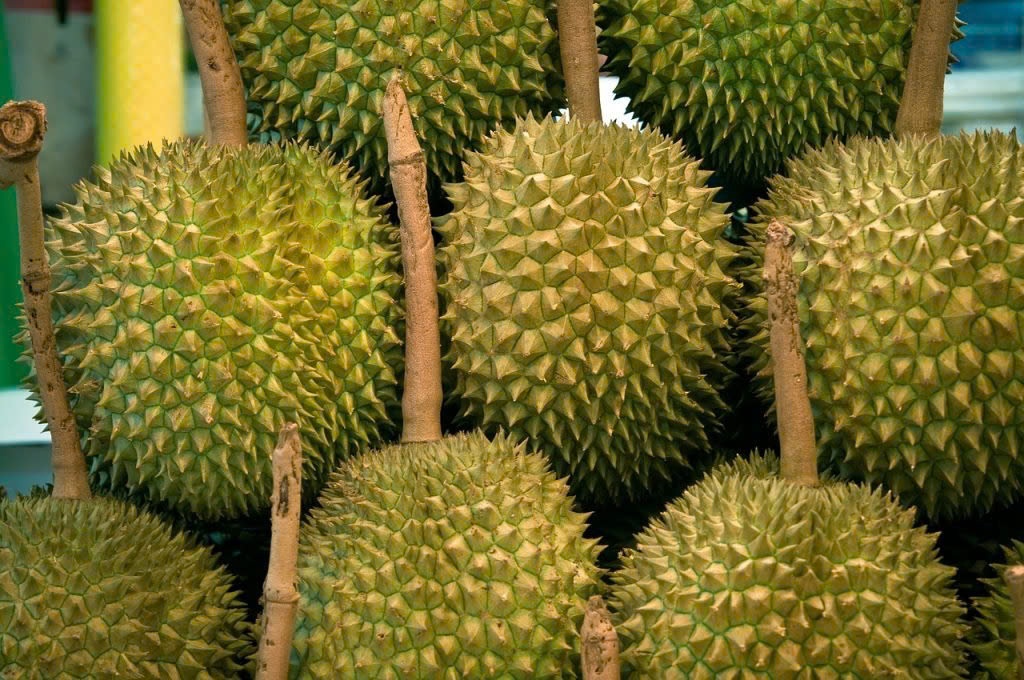 Chuyen chua tung co voi sau rieng Musang King hinh anh