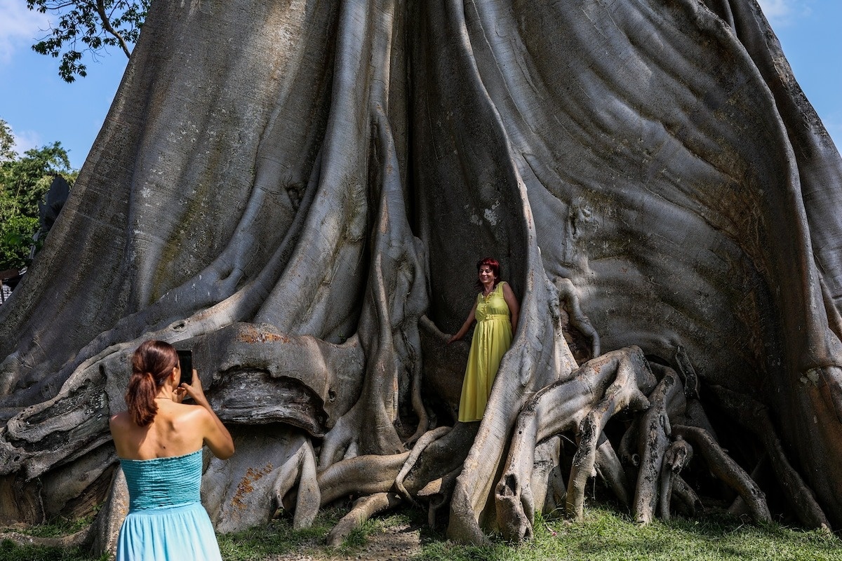 bali ảnh 3 bali anh 3