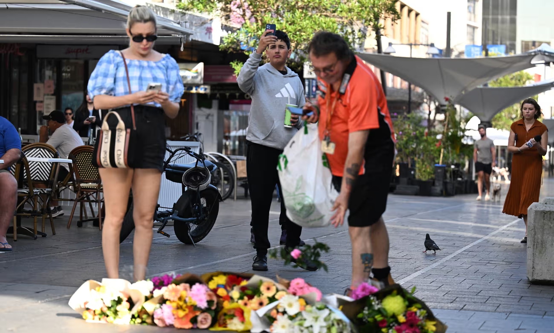 đâm dao ảnh 5 dam dao anh 5