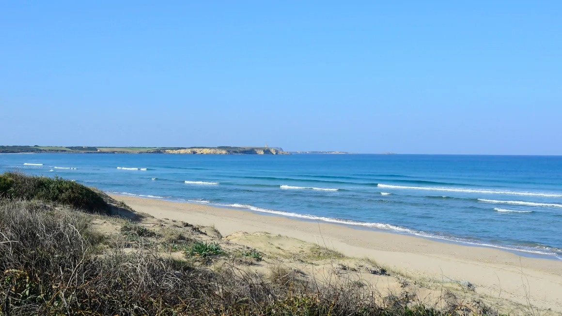 bai bien khoa than anh 1