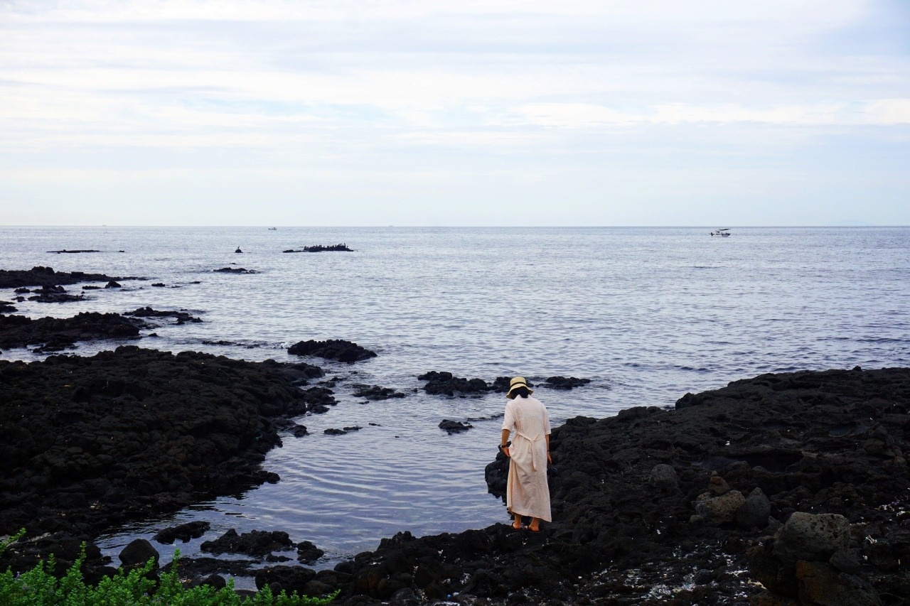 Cu soc voi Jeju hinh anh