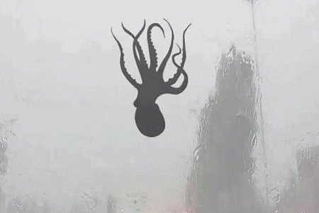 Thuc hu buc anh 'bach tuoc mat nha trong sieu bao Yagi' hinh anh