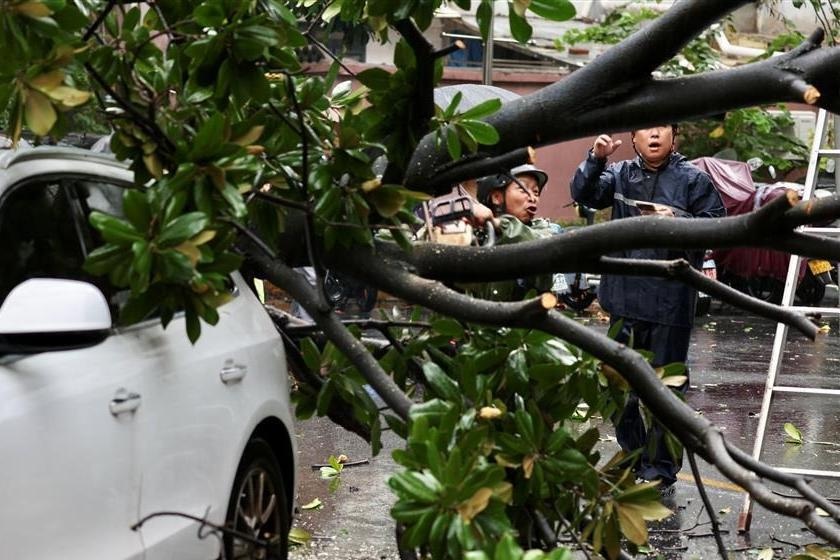 Thuong Hai sau khi hung chiu con bao manh nhat trong 75 nam hinh anh