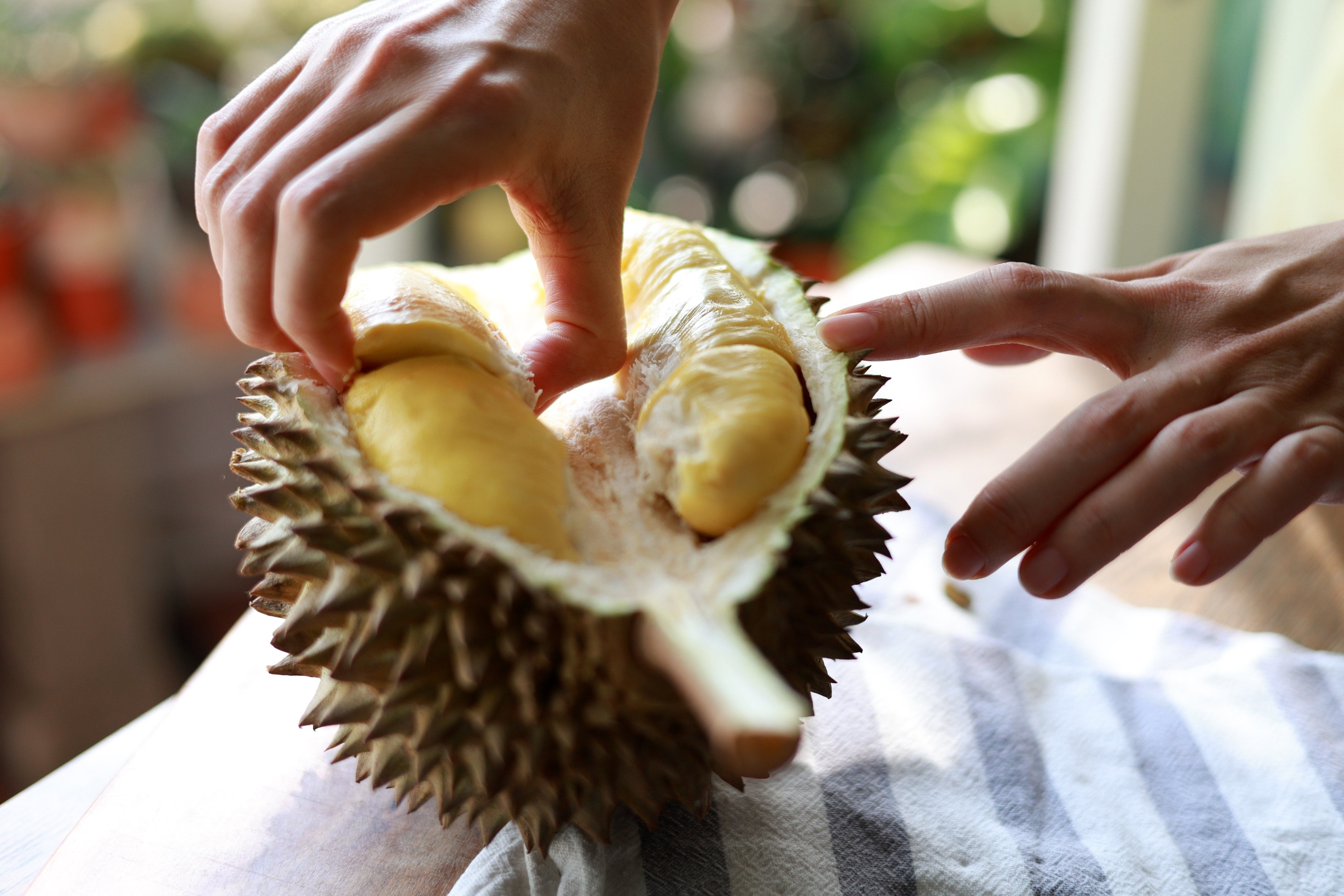 sau rieng musang king anh 2