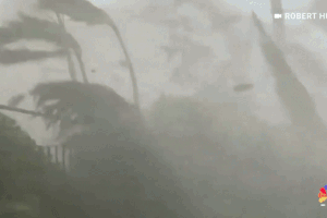 Canh tuong gio bao Milton giat tung cay coi, cua kinh hinh anh