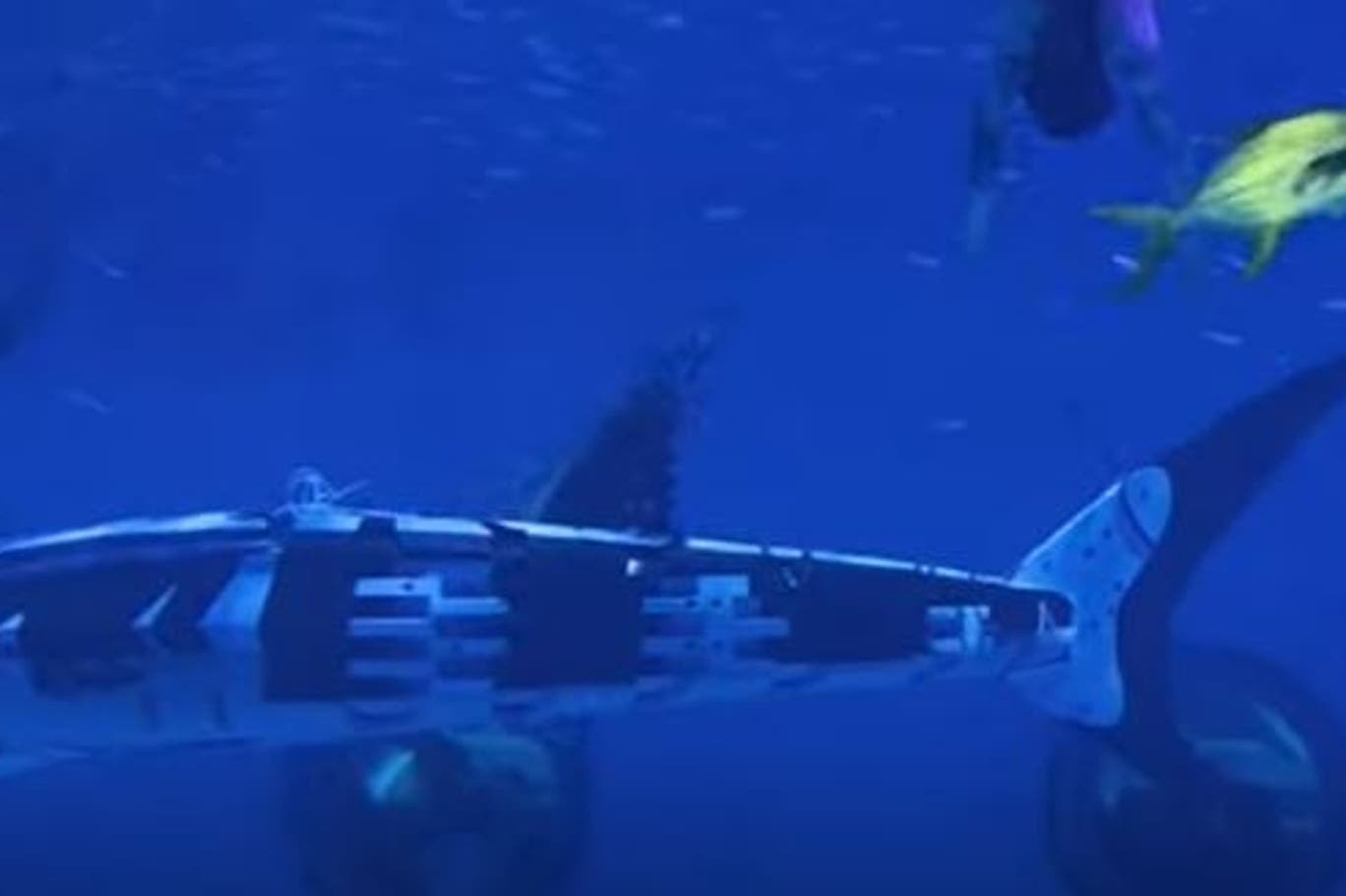 Du khach noi gian vi ca map voi gia trong thuy cung o Trung Quoc hinh anh