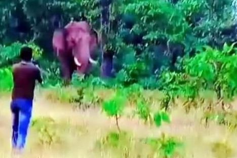 Bi voi giam chet khi chup anh selfie hinh anh