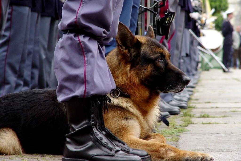 Nhan boi thuong gan 1 trieu USD vi bi canh khuyen can hinh anh