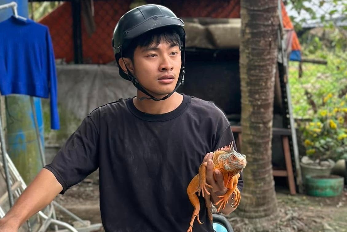 'Dam gio ben con' va con sot nhac che tren TikTok hinh anh