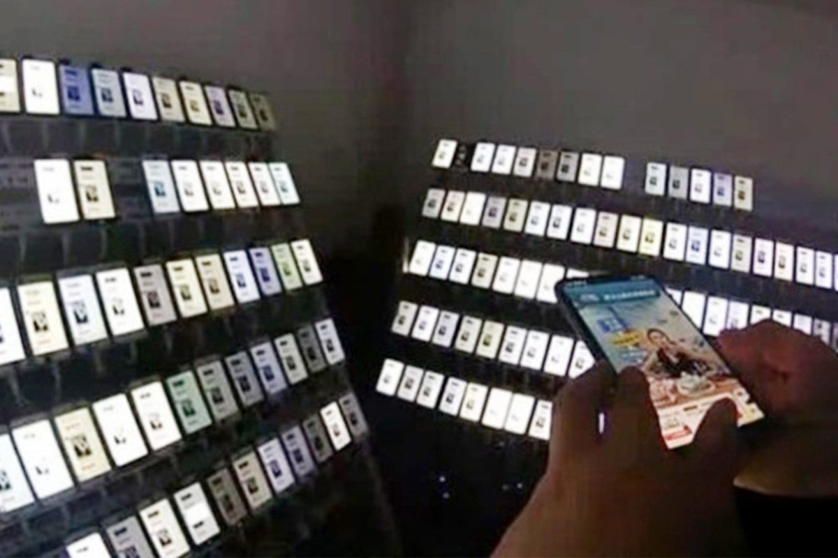 Nguoi dan ong dung 400 dien thoai xem livestream phat tui mu cung luc hinh anh