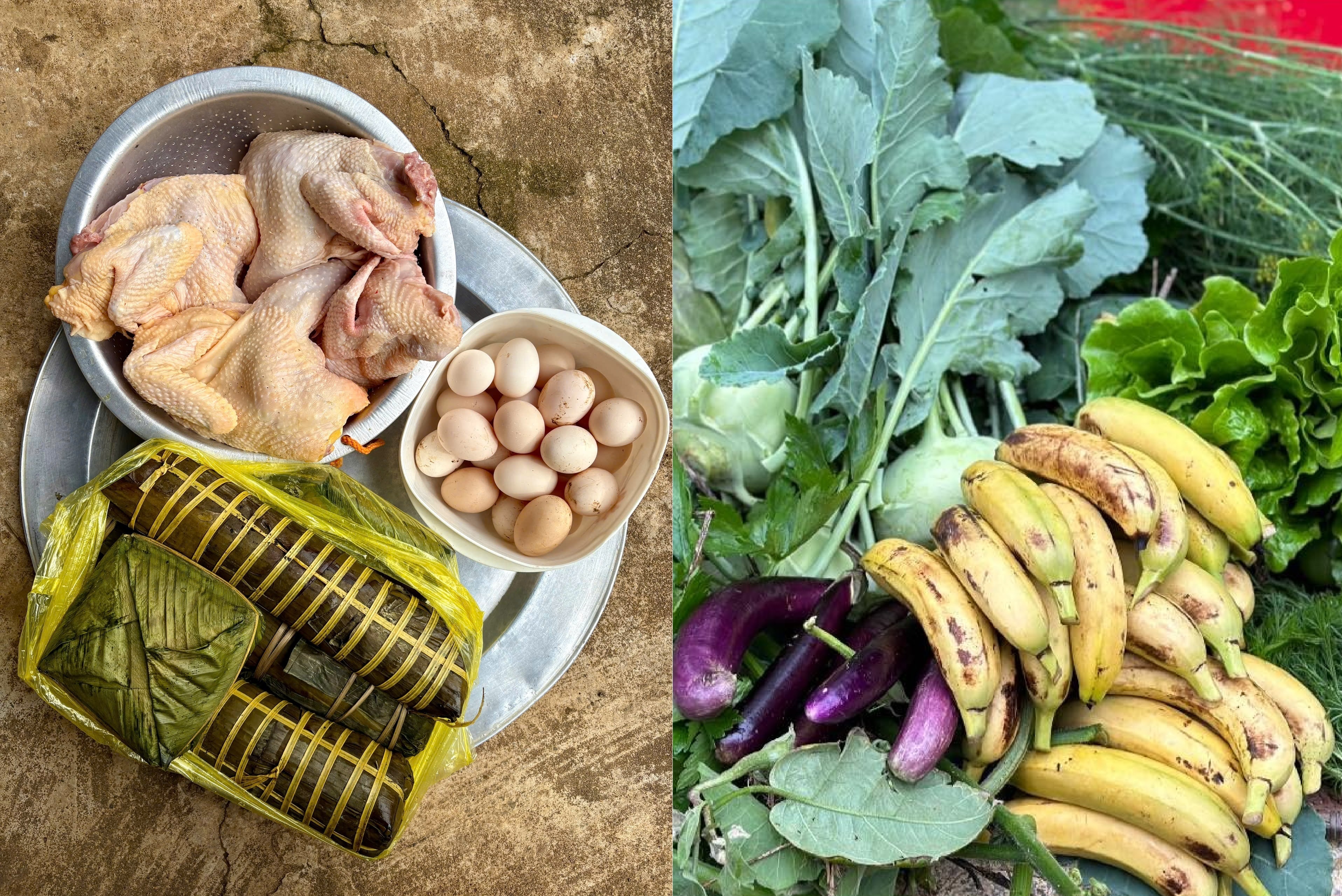 Nhung dua con mang ca tu do an tu que tro lai TP.HCM, Ha Noi sau Tet hinh anh