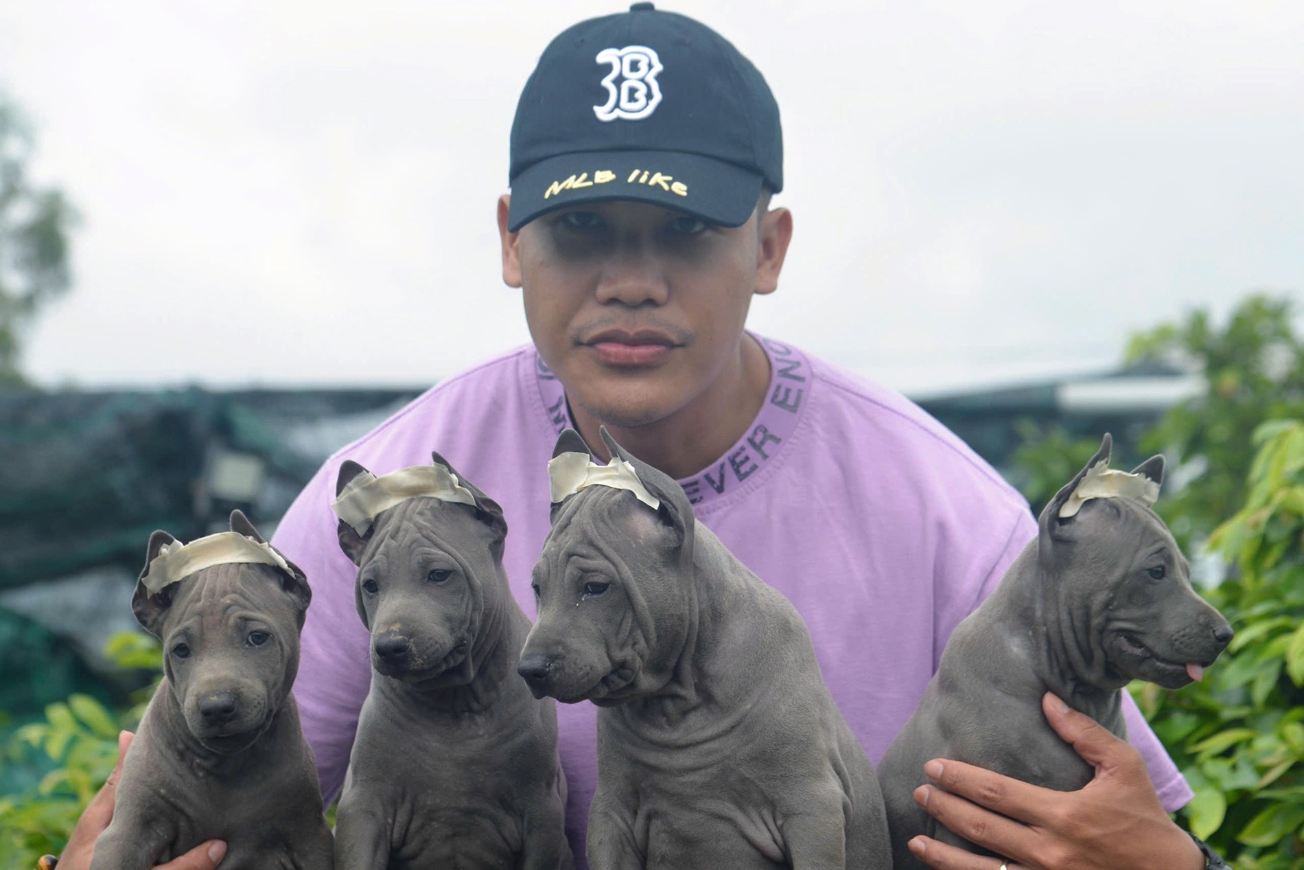 Chang PT thu 400 trieu dong nho giong cho la hinh anh